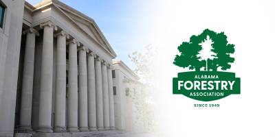‘Rule of Law’ slate: Alabama Forestry Association announces judicial endorsements in 2026 elections