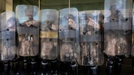 National Guard illegally performed law enforcement in LA, judge rules