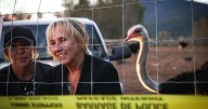Police probe threats of violence aimed at businesses linked to B.C. ostrich cull