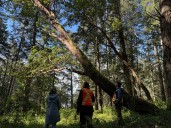 2 Vancouver Island companies to receive $1.4M+ for ‘made