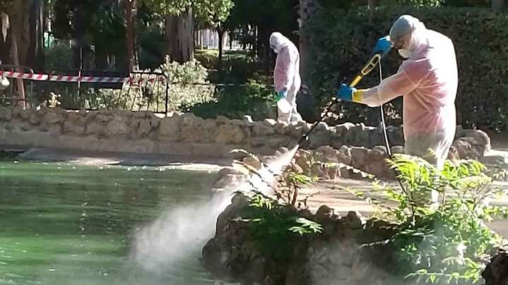 El Parque de María Luisa reabre tras aplicar el protocolo frente a la gripe aviar