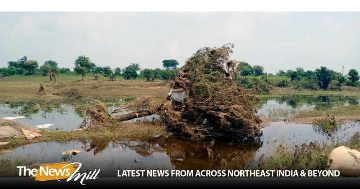 Heavy rains batter Maharashtra, NDRF rescues over 300 people in Marathwada districts