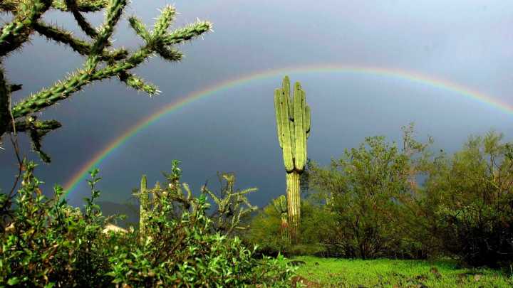 Rain chances increase in Phoenix with cooler temperatures expected