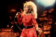 Tina Turner Statue Unveiled in Tennessee Community Where She Grew Up