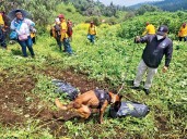 Restos hallados en búsqueda en la GAM son de una mujer