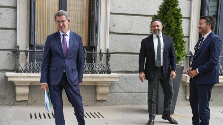 Días de furia: PP-Vox, por Iván Redondo