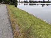 Car drives into waters of Dow's Lake: Ottawa police