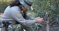 Guardaparques en el Perú: así serán sus remuneraciones tras más de un año de aprobada la ley