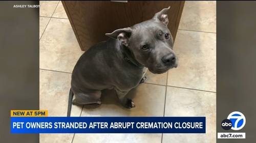 Moreno Valley woman demanding answers after company hired to cremate her pet closes doors