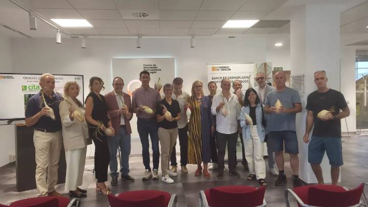 Cebollón de Torres de Alcanadre: la misión de salvar un monumento alimentario de Aragón
