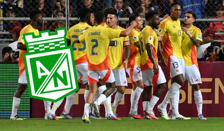 La Selección Colombia da alegría a Gandolfi; hay novedad en Nacional