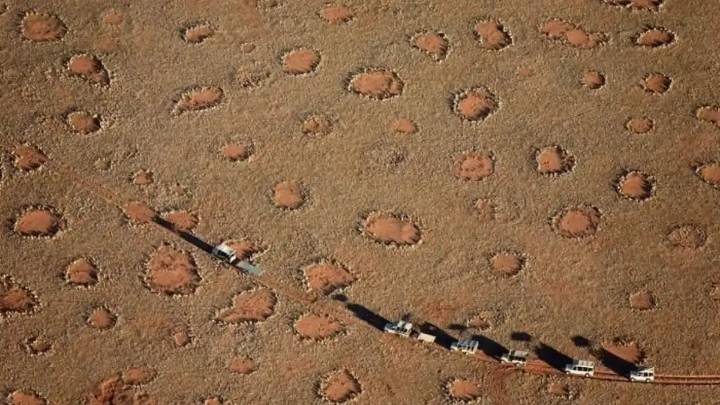 Círculos de hada: el fenómeno más extraño y misterioso que pocos conocen