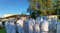 Granja Tres Arroyos: paro de trabajadores por falta de pago y temor por eventual cierre