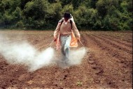 CNA respalda prohibición de 35 plaguicidas; pide transición ordenada en el campo