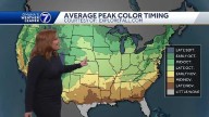 Meteorologist Caitlin Harvey breaks down when to expect leaves to transition to fall colors