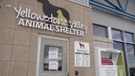 Pets evacuated after FBI uses animal shelter incinerator to destroy meth