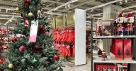 M&S shoppers can get full-size 6ft Christmas trees for £4