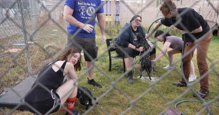 Meth incineration mishap sickens animal shelter employees in Billings