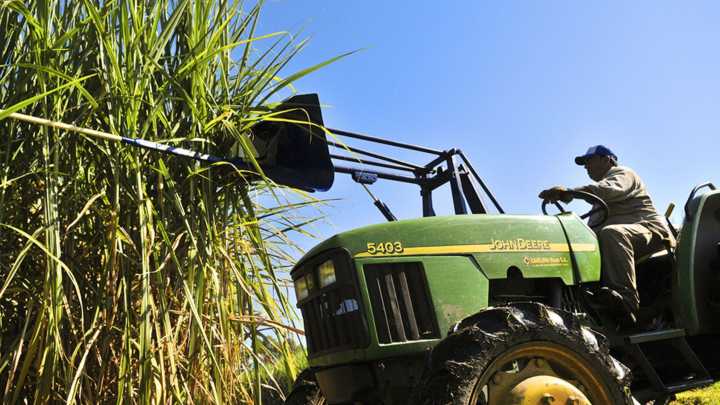 FESOCA: Sector azucarero reporta entre 8% y 10% de crecimiento creciendo por 5to año consecutivo #1Sep
