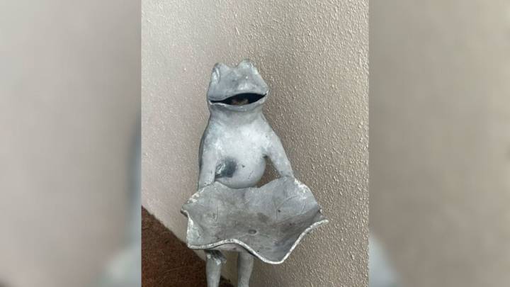 Florida Resident Returns Home From Work And Realizes That There Is Something Odd About Her Frog Statue