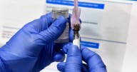 Desabasto de vacuna contra tuberculosis es temporal: Secretaría de Salud
