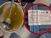 Menor termina hospitalizada tras comer caldo con ratón en restaurante de Yucatán