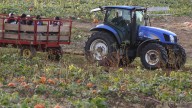 Milburn Orchards hayride crash hospitalizes man, injures 4 others