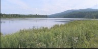 Montpelier residents urged to conserve water