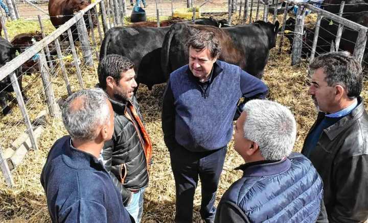 Fuerte ofensiva rionegrina por la barrera