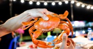 Rotary Club crab feast fundraiser set for Sept. 22