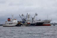 WTO global agreement aimed at reducing overfishing takes effect 3 years after its adoption