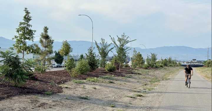 New trees and shrubs spruce up Rail Trail's drab stretch