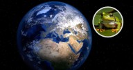 Datos curiosos del mundo que parecen sacados de una película de ciencia ficción