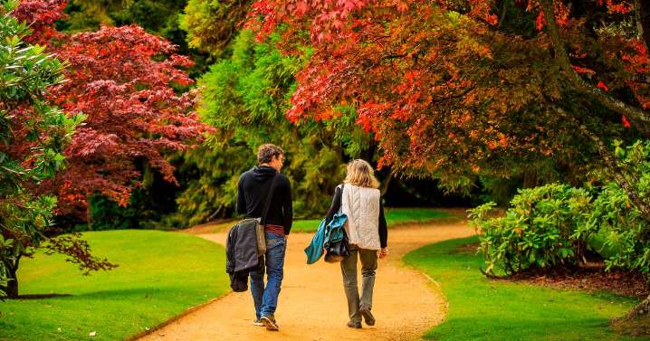 Secret UK forest where autumn colours are 'better than the US'