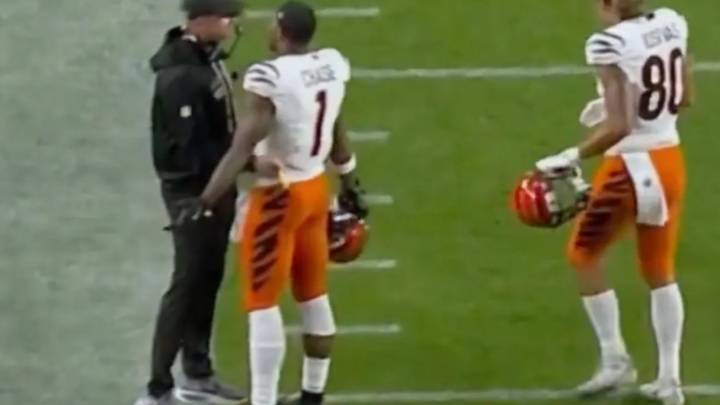ESPN cameras catch Ja'Marr Chase in furious sideline bust-up with head coach during ugly Bengals loss