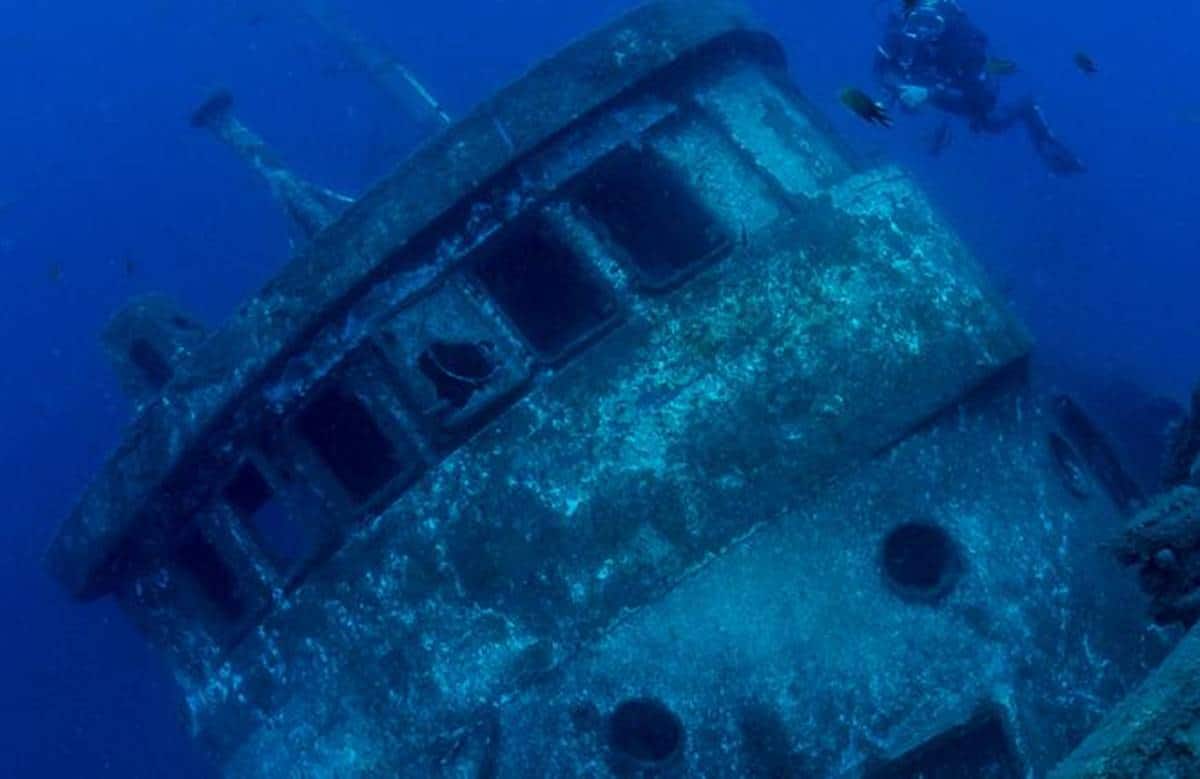 Así se convirtió un barco hundido en uno de los pecios más visitados de Canarias