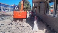 Una modificación del proyecto de la travesía de Sueca salva los árboles centenarios
