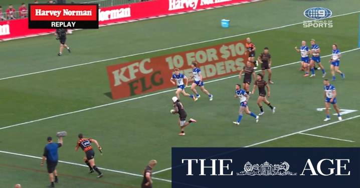 Panthers 'perfection' on full display