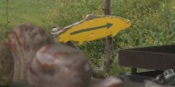 Farmers turning to agriculture tourism for education