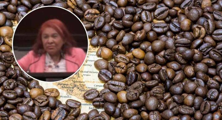 Diputada de Morena afirma que científicos desarrollan nave espacial para llevar café de Veracruz a Marte (VIDEO)