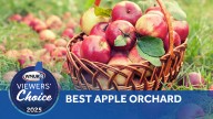 What is the best apple orchard in New Hampshire?