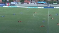 Jugadores de Millonarios y Envigado, al piso en pleno partido por presencia de abejas en cancha