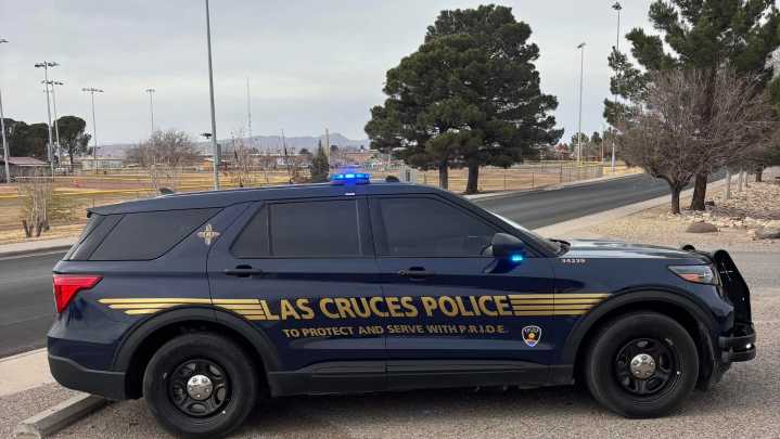 Second man arrested for involvement in fatal Salopek Park shooting
