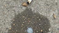 Un hombre de Ourense recoge un escupitajo del suelo, hace una prueba de ADN y el resultado que sale hace que se convierta en millonario