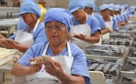 Empleo en Perú: 44% de empresas no hará cambios y solo 15% reducirá personal al cierre del 2025