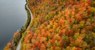 Northeast fall foliage 2025: Experts warn of an early and shorter season