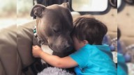 Montana Woman Meets A Puppy In Crisis, Then Realizes She’s Seen Her Before In A Dream