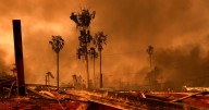Federal government sues California utility, alleging equipment sparked deadly wildfires