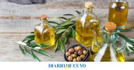 Llega la Expo Olivícola abierta al público y con lo mejor del aceite de oliva