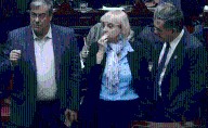 Por la Ley Guzmán, el préstamo del Tesoro debería pasar por el Congreso